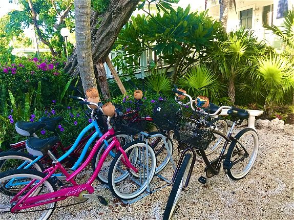 Key Largo Resort Amenities | Coconut Palm Inn Florida Keys